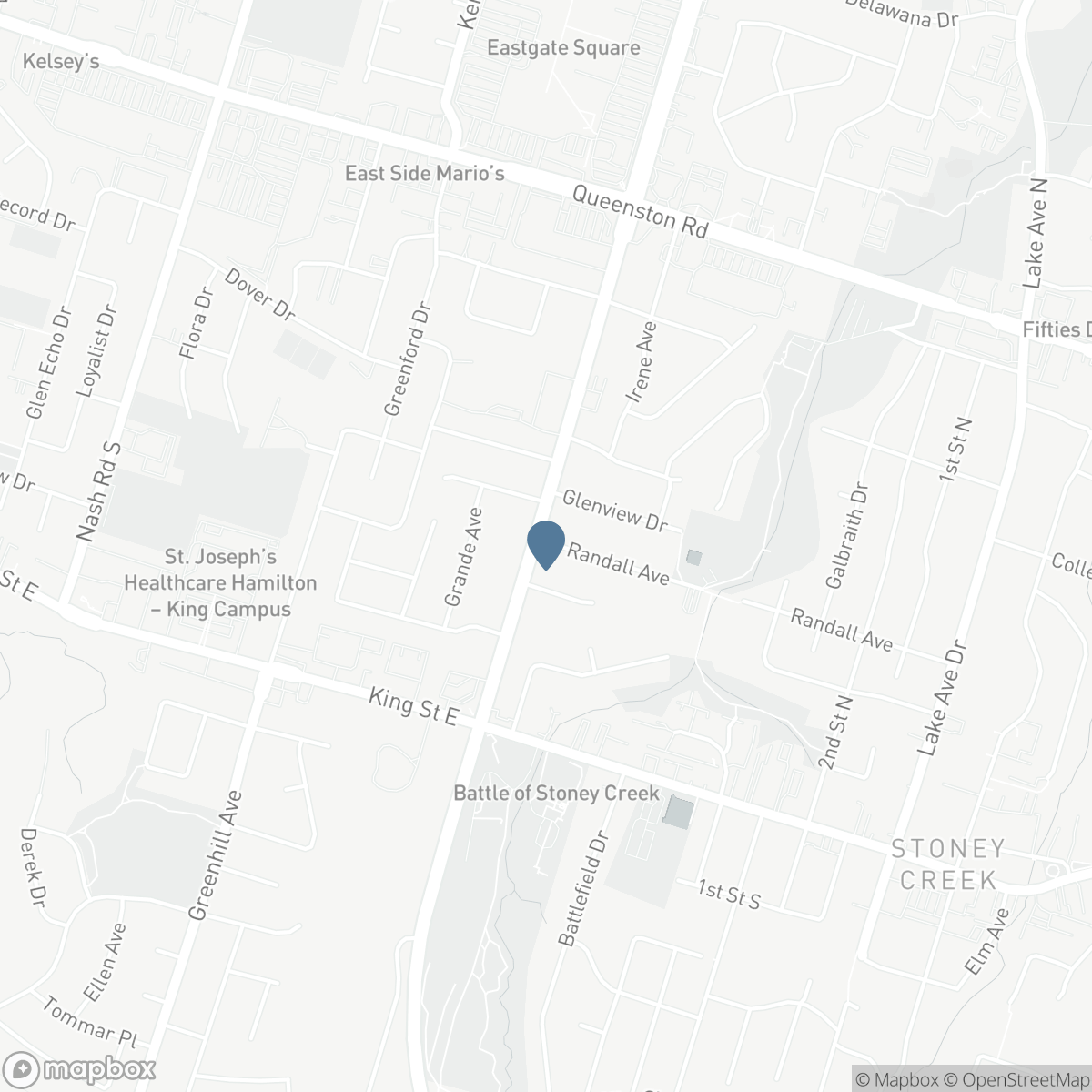 77 RANDALL Avenue, Hamilton, Ontario L8G 2K8